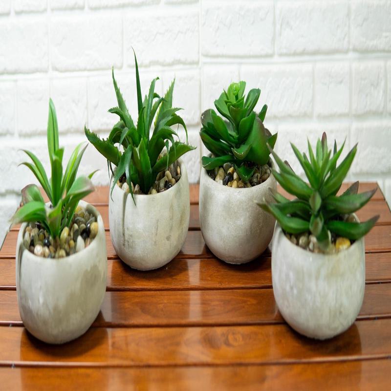 Set of 4 Realistic Artificial Botanica Plants Succulents in Cement Pot 7"Dia