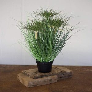 Pack Of 2 Realistic Lifelike Artificial Cyprus Grass Plant In Black Pot Botanica