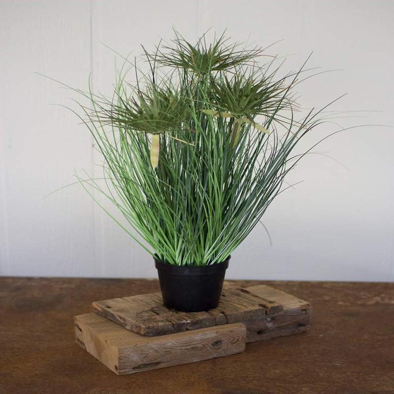 Pack Of 2 Realistic Lifelike Artificial Cyprus Grass Plant In Black Pot Botanica