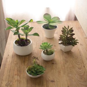 Set Of 5 Realistic Artificial Faux Botanica Succulents In Ceramic Mini Pots