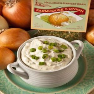 Halladay's Harvest Barn Farmhouse 5 Onion Dip