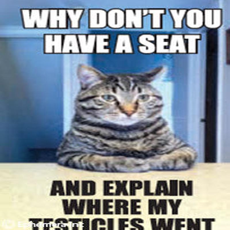 Ephemera Magnet - Explain Where My Testicles Went