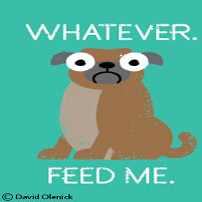 Ephemera Magnet Whatever. Feed Me.