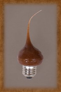 Vickie Jean's Creations Cinnamon Scented Standard Bulb 7.5 Watt
