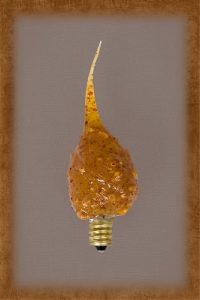 Vickie Jean's Creations  Spicy Rosehip Scented Candelabra Bulb