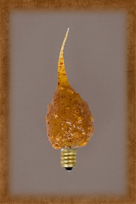 Vickie Jean's Creations  Spicy Rosehip Scented Candelabra Bulb