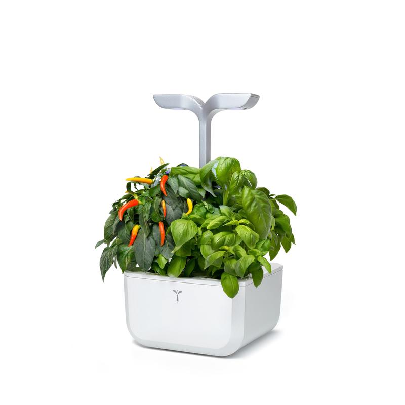 Veritable Exky Smart Indoor Garden