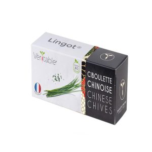 Veritable Lingot Chinese Chives Organic