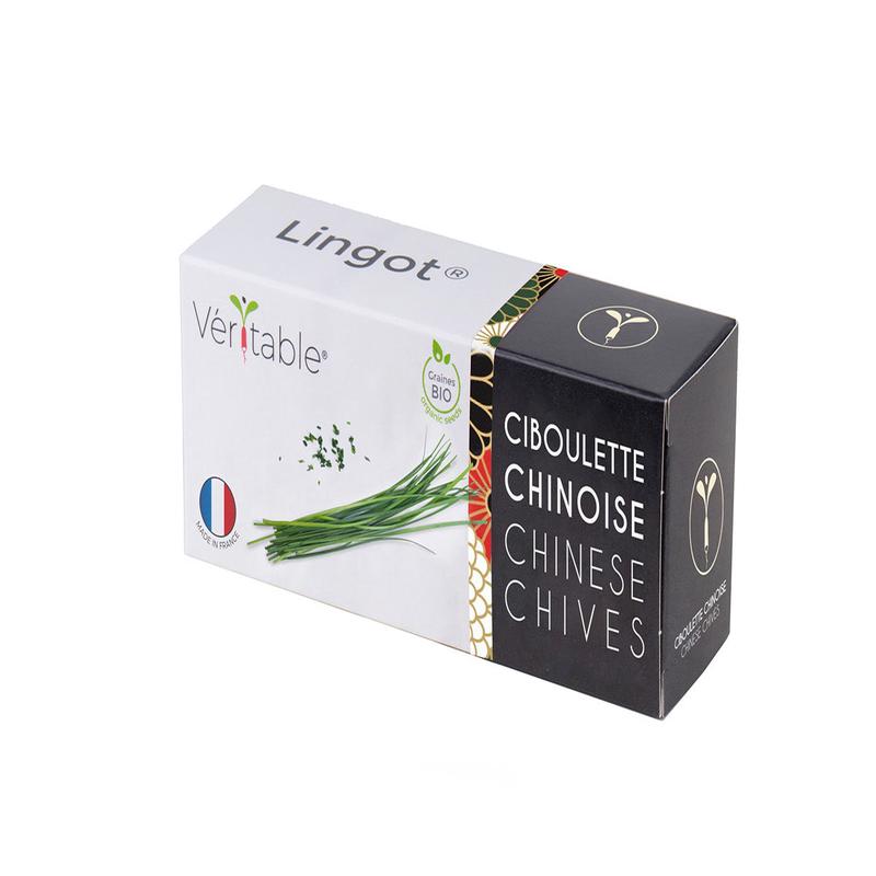 Veritable Lingot Chinese Chives Organic