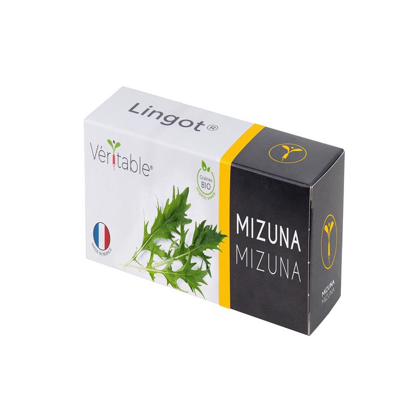 Veritable Lingot Mizuna Organic