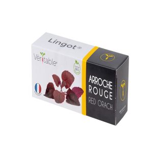 Veritable Lingot Red Orach