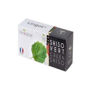 Veritable Lingot Shiso green Organic