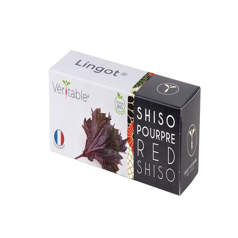 Veritable Lingot Shiso purple Organic