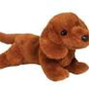 Delanie th Soft Dachshund