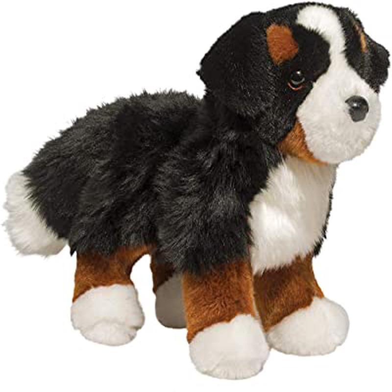 Douglas Stevie the Bernese Mountain Dog