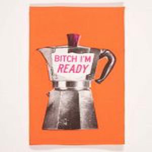 BQ Im Ready Dish Towel